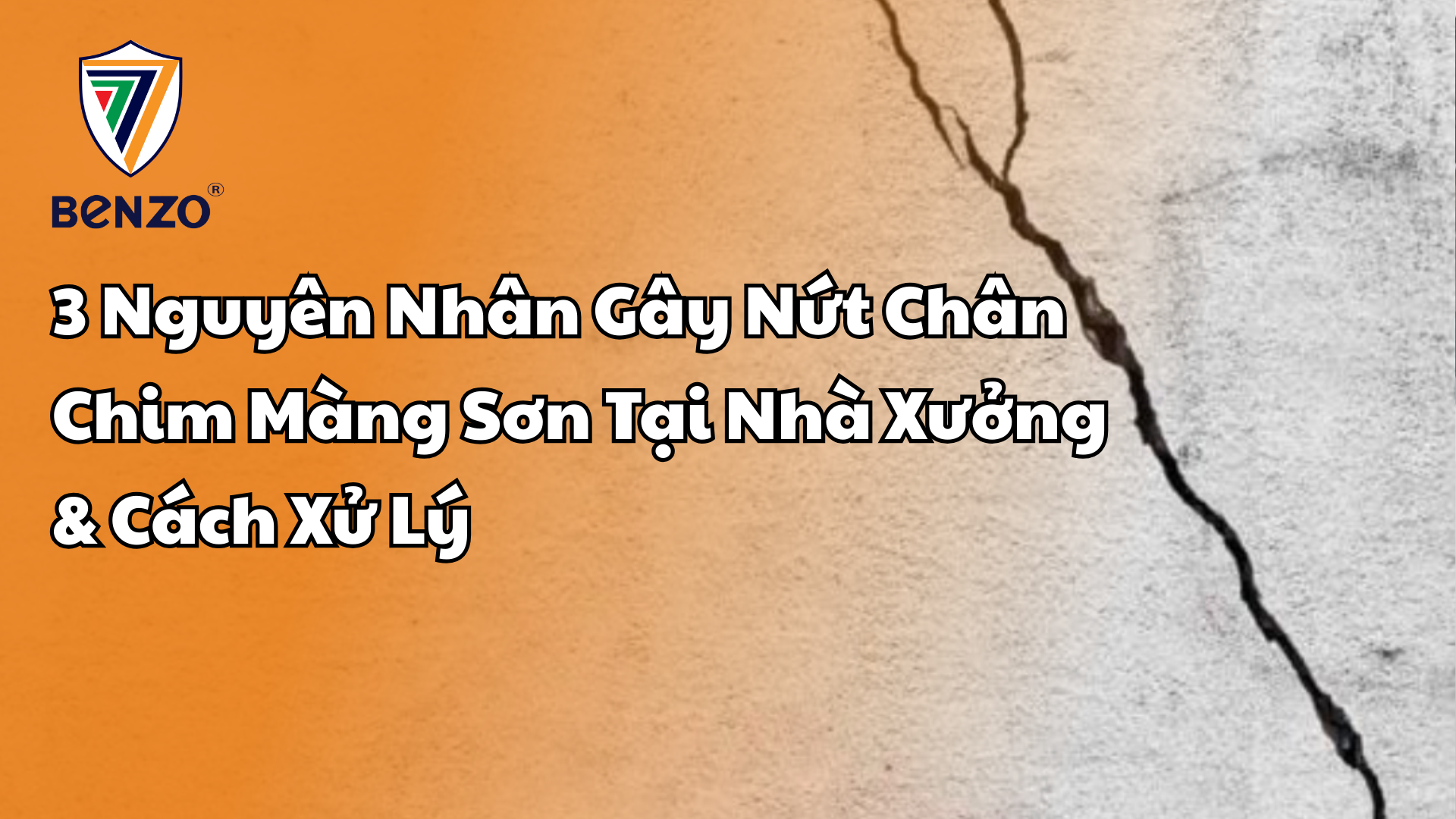 3 Nguyên Nhân Gây Nứt Chân Chim Màng Sơn Tại Nhà Xưởng & Cách Xử Lý