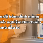 Kiểm tra độ bám dính màng sơn: 3 Bước nghiệm thu chuẩn xác cho chủ đầu tư